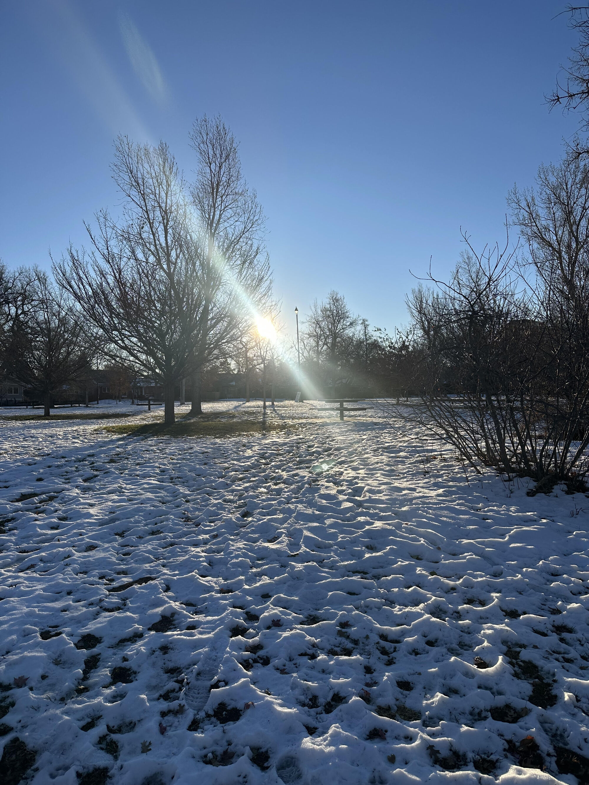 Photo of snowy scenery with the sun peeking through trees